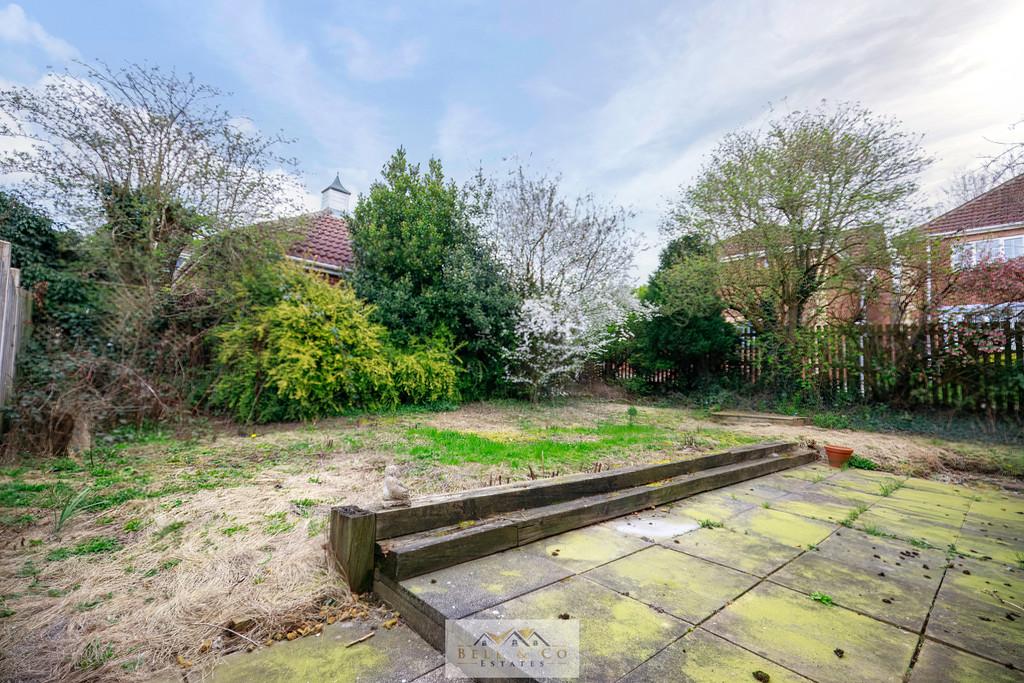 Back garden 1.1