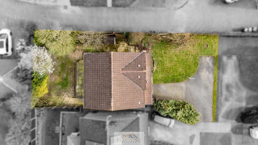 Aerial 1  (2)