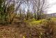 Additional image 29 of Dyce Lane, Partickhill, Glasgow