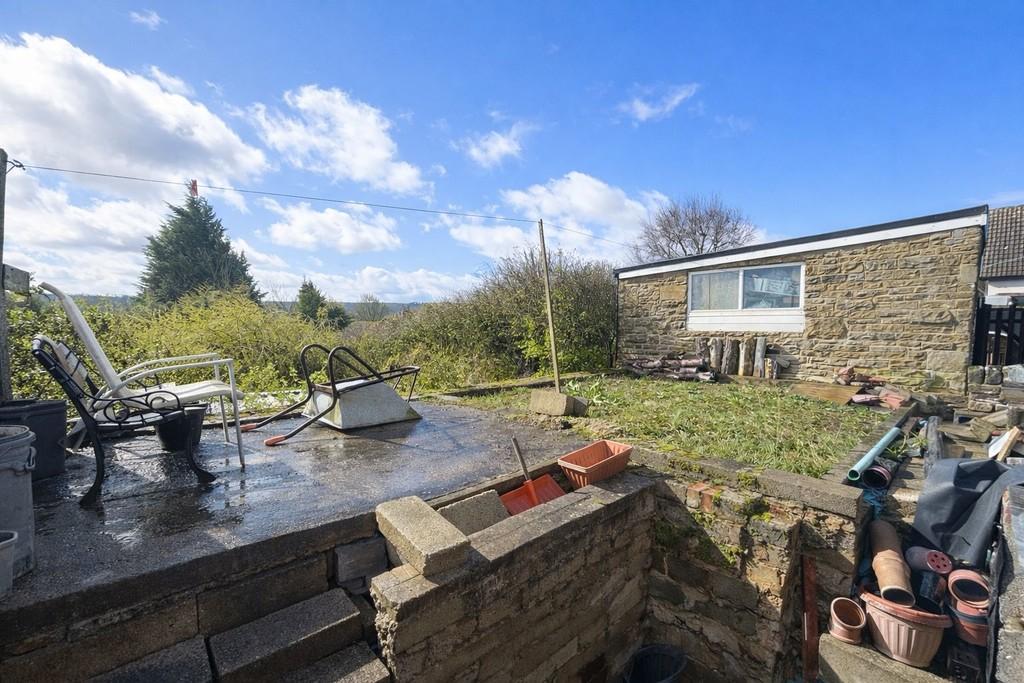 Back garden