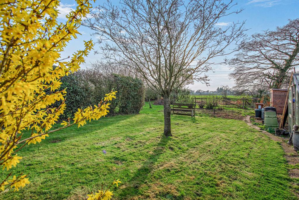 Rear of Garden