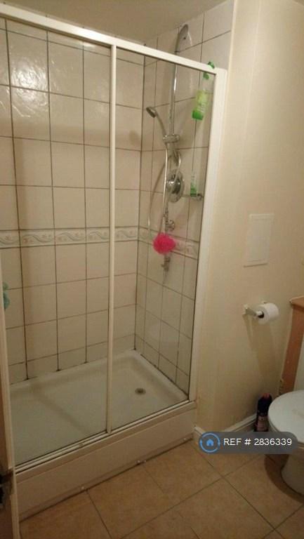 Shower1