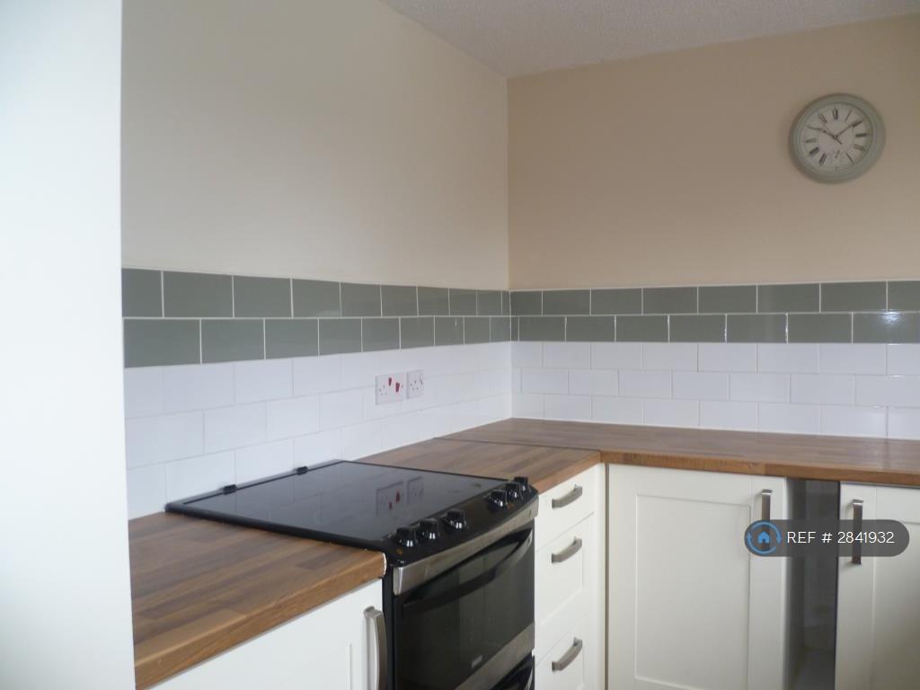Kitchen Showing Range Of New Units