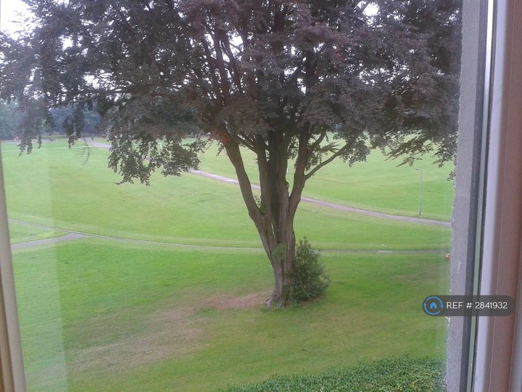 View From Lounge