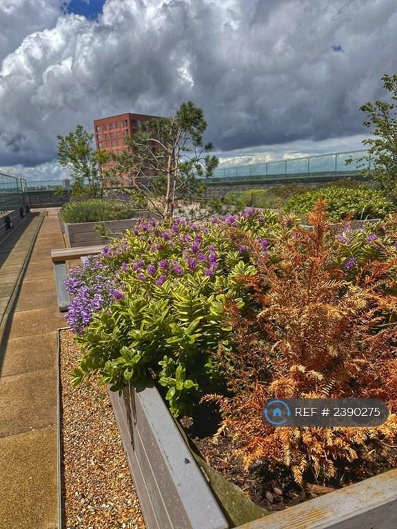Rooftop Garden