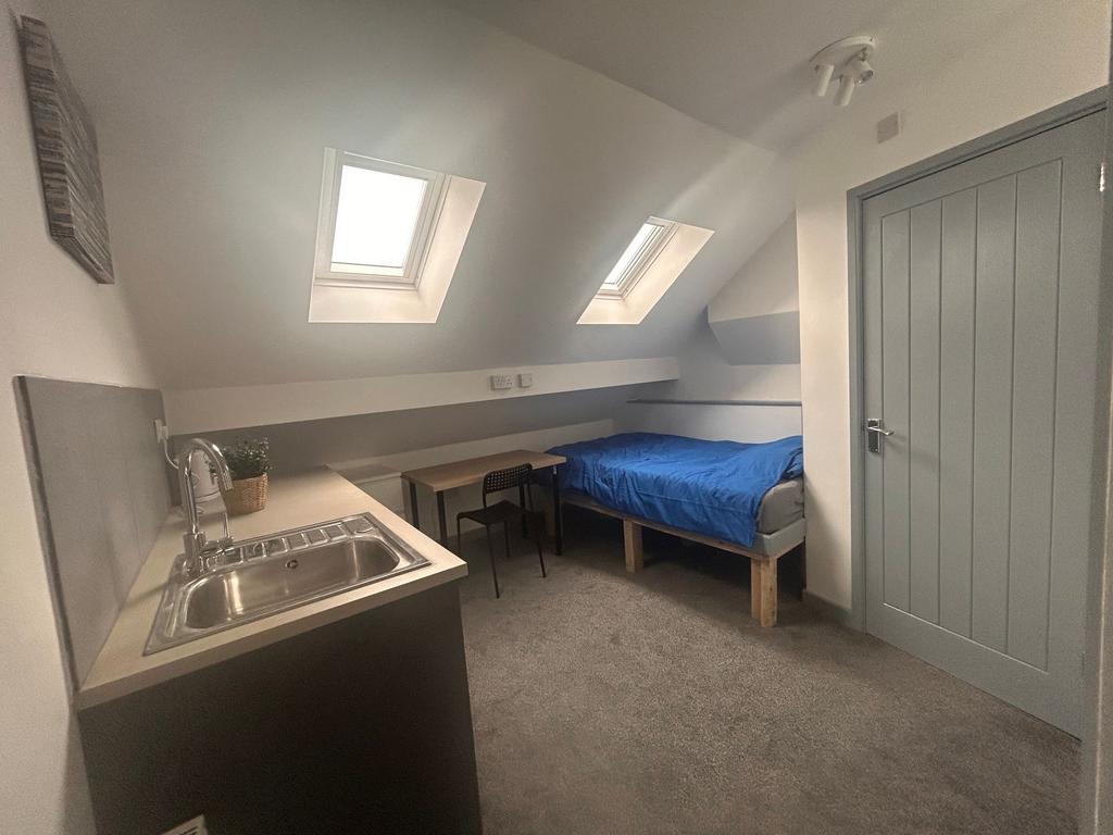 Bright loft room with skylights and kitchenette...