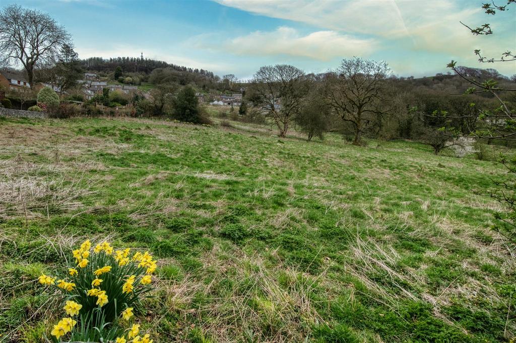 Open countryside beyond the garden.jpg