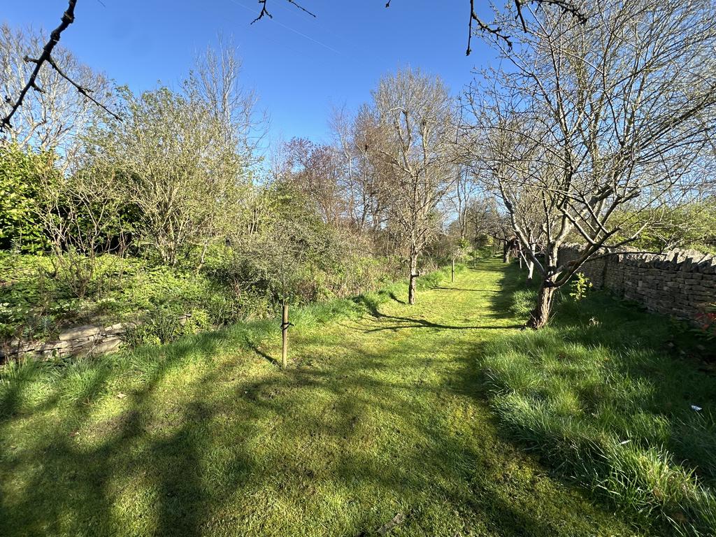 Orchard
