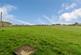 Additional image 13 of Allerton Upper Green, Allerton, Bradford, West Yorkshire, BD15
