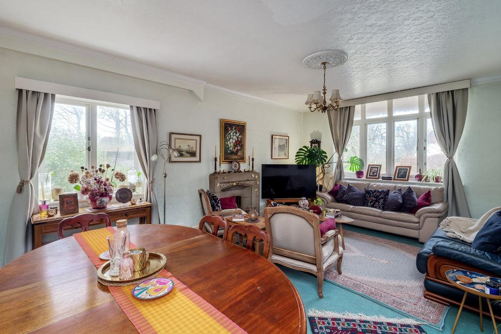 Rear Annexe Living