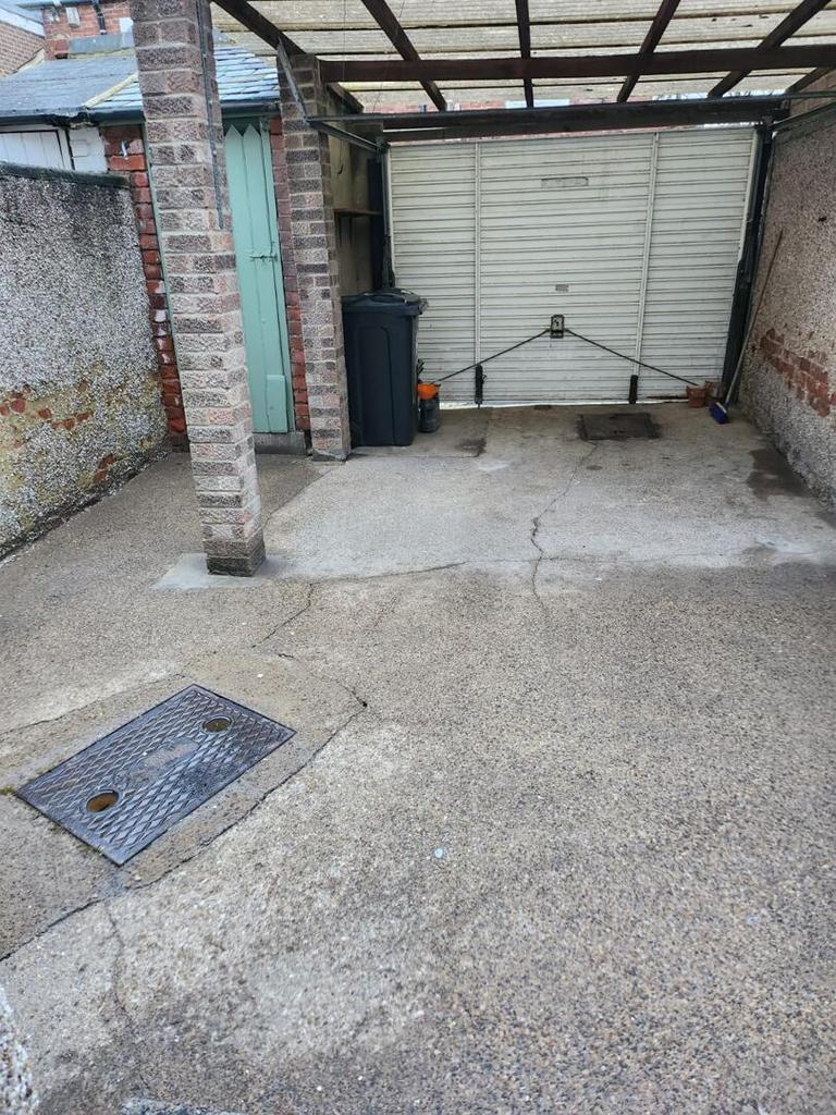 Back yard.jpg