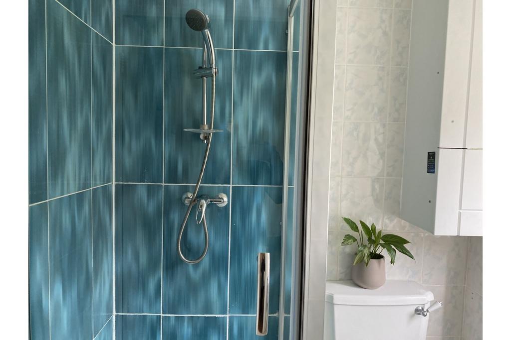 Downstairs Shower