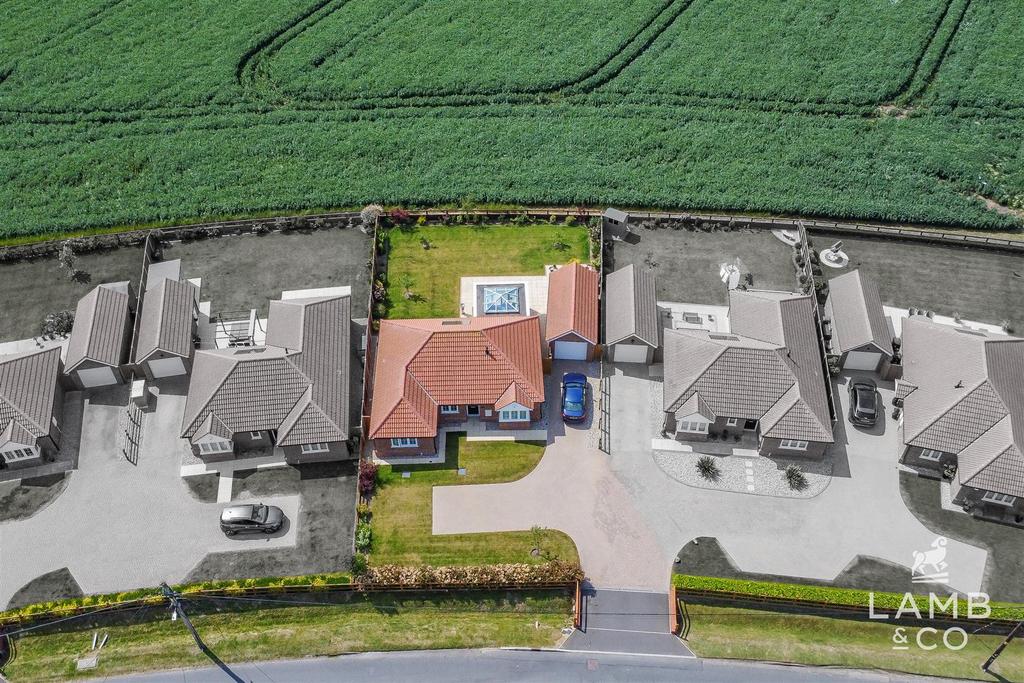 DJI 0891.jpg