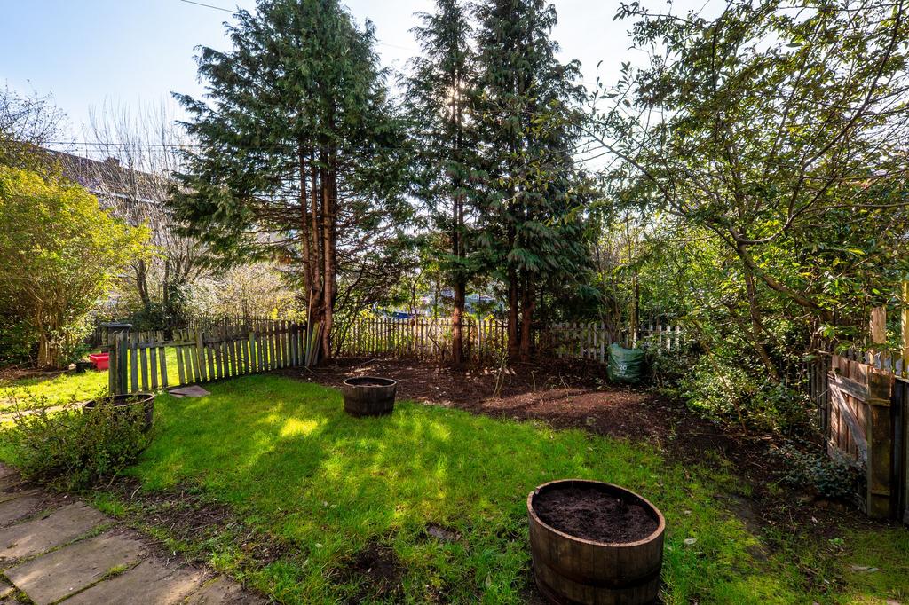 Back garden