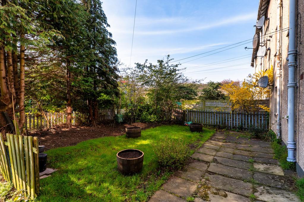 Back garden