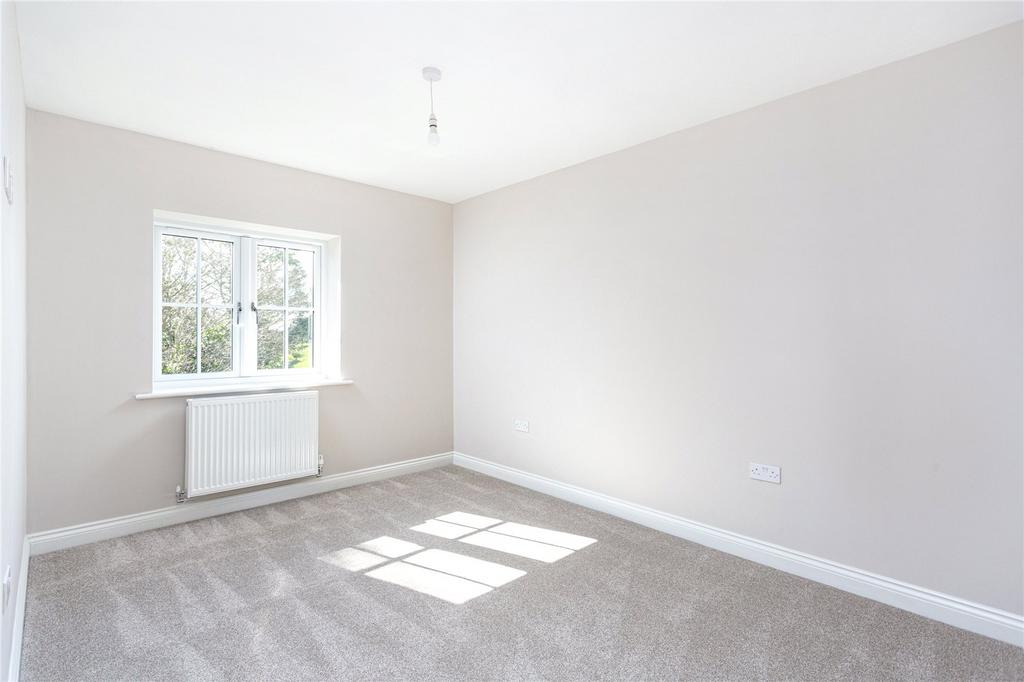 Photos