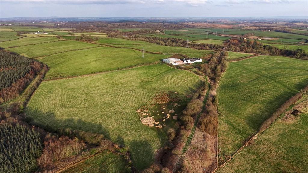 Aerial Photograph