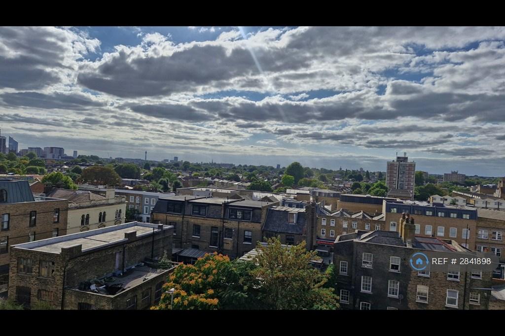 The View