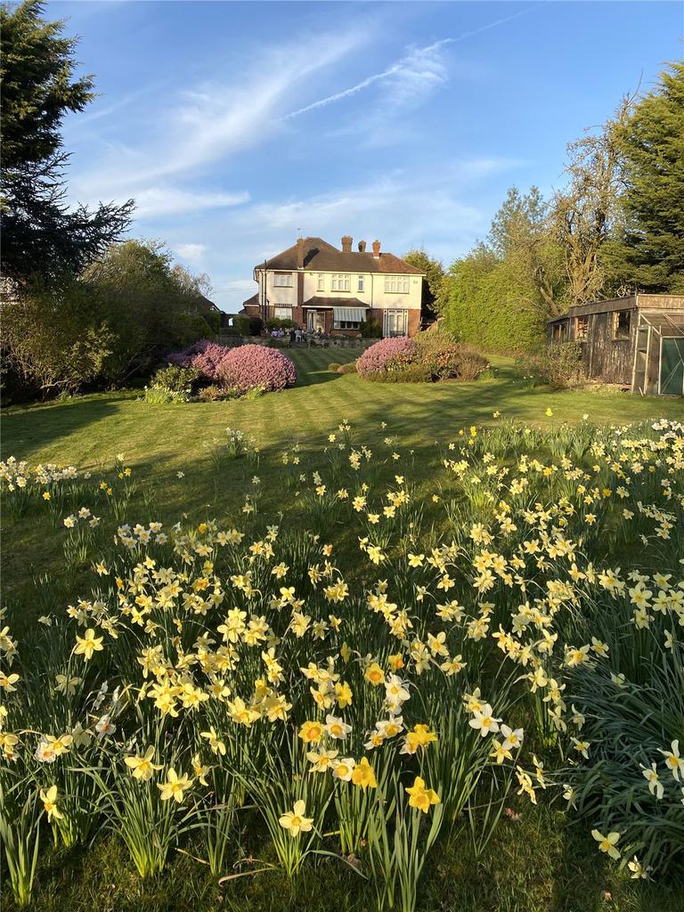 Spring Flowers