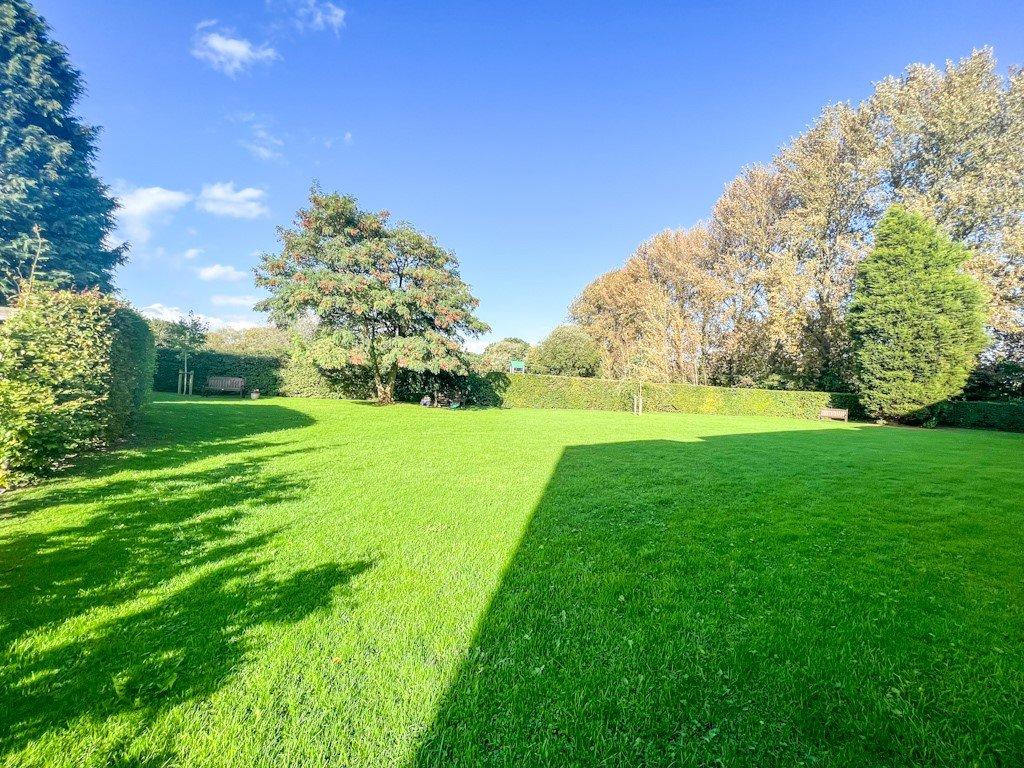 Communal Garden