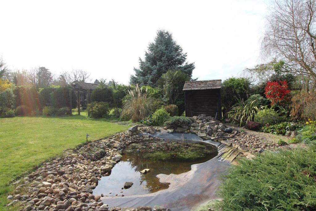 Garden 4.JPG