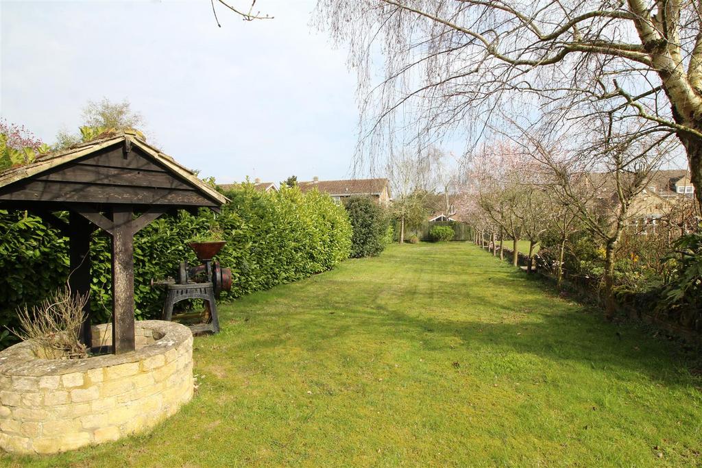 Garden 2 .JPG