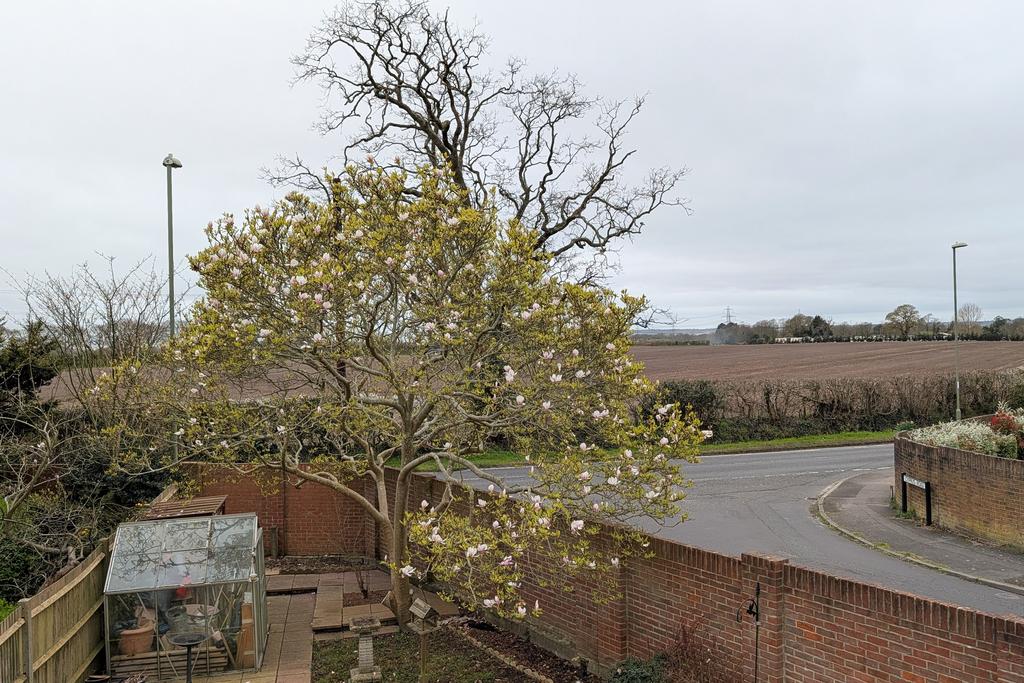 View from bedroom