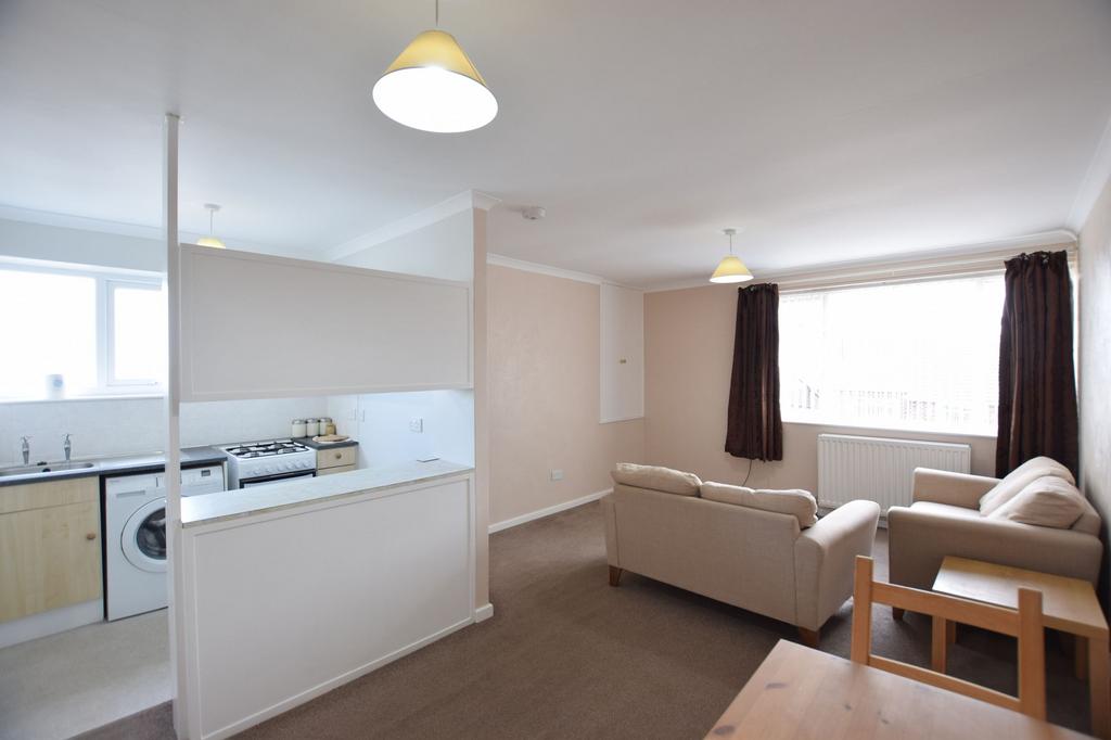 Living Room/Kitchen