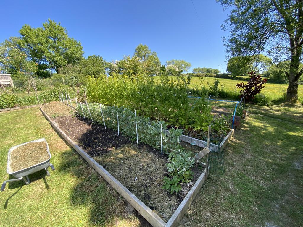 Garden (second image)