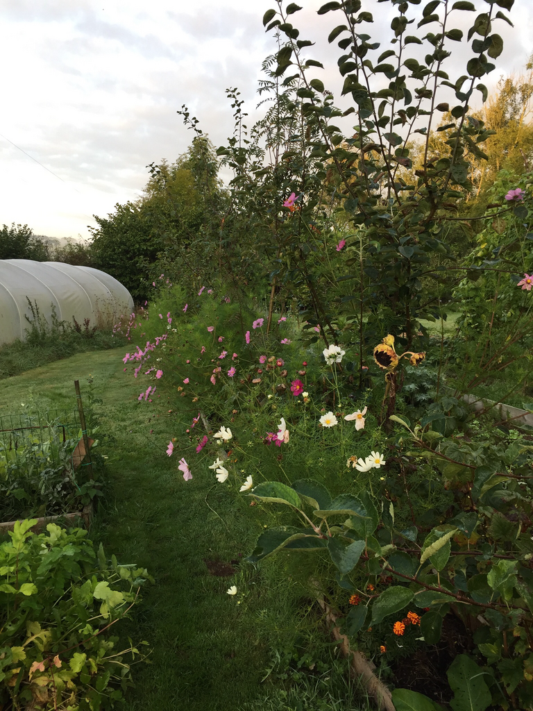 Garden (third image)