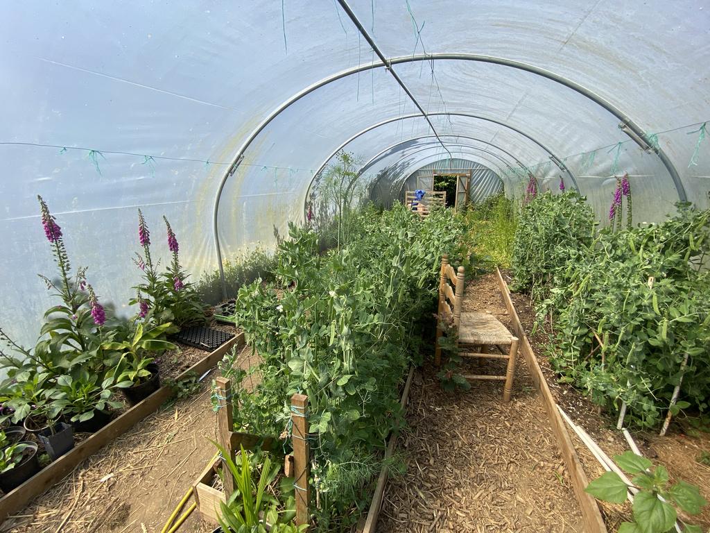 Poly tunnel (second image)