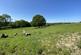 Additional image 74 of Llangybi,  Lampeter, SA48