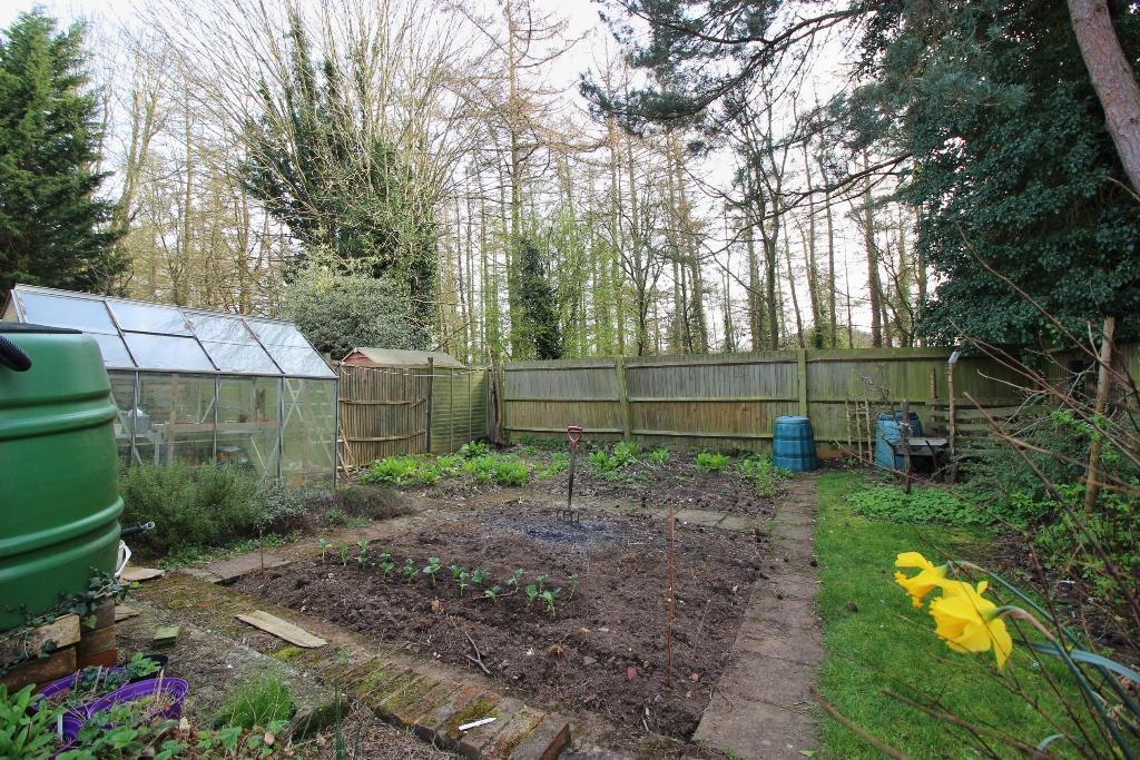 Vegetable Patch