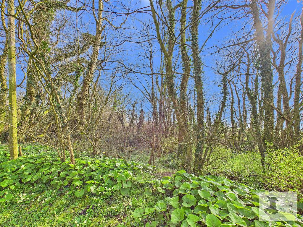 Woodland