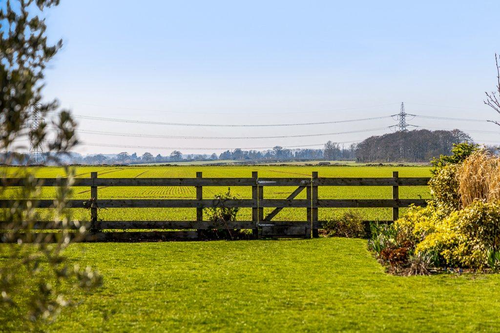 Open Field Views