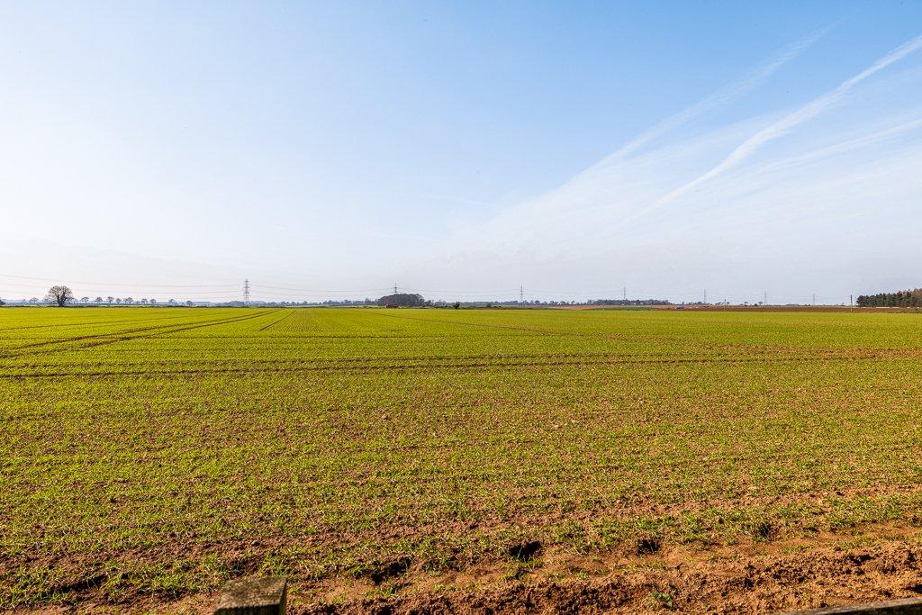 Open Field Views