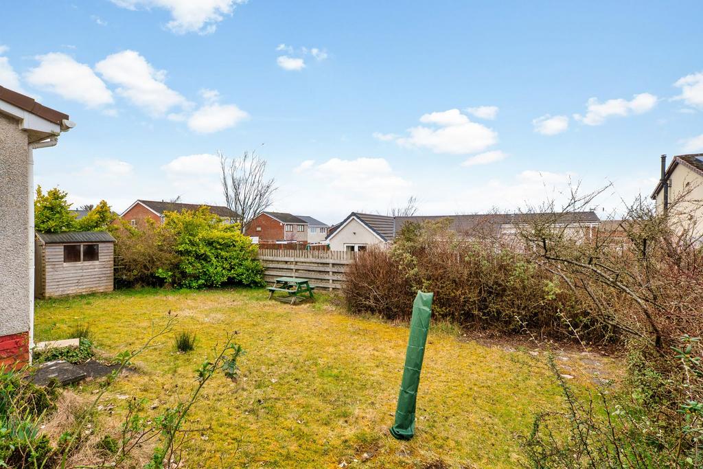 Back garden