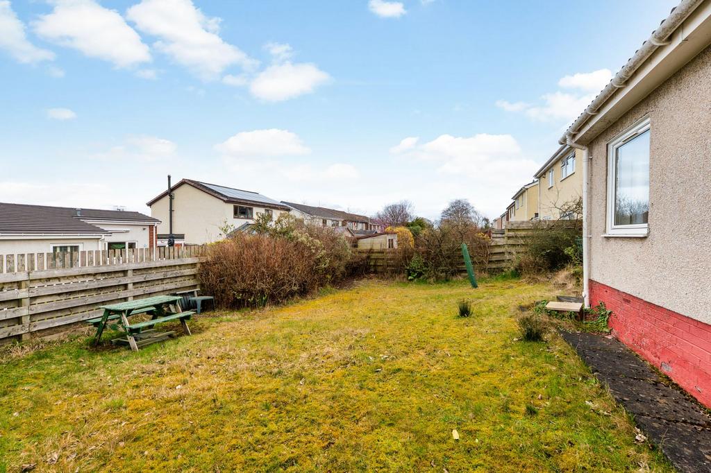 Back garden