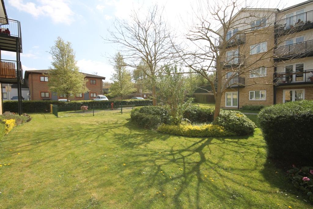Communal Garden