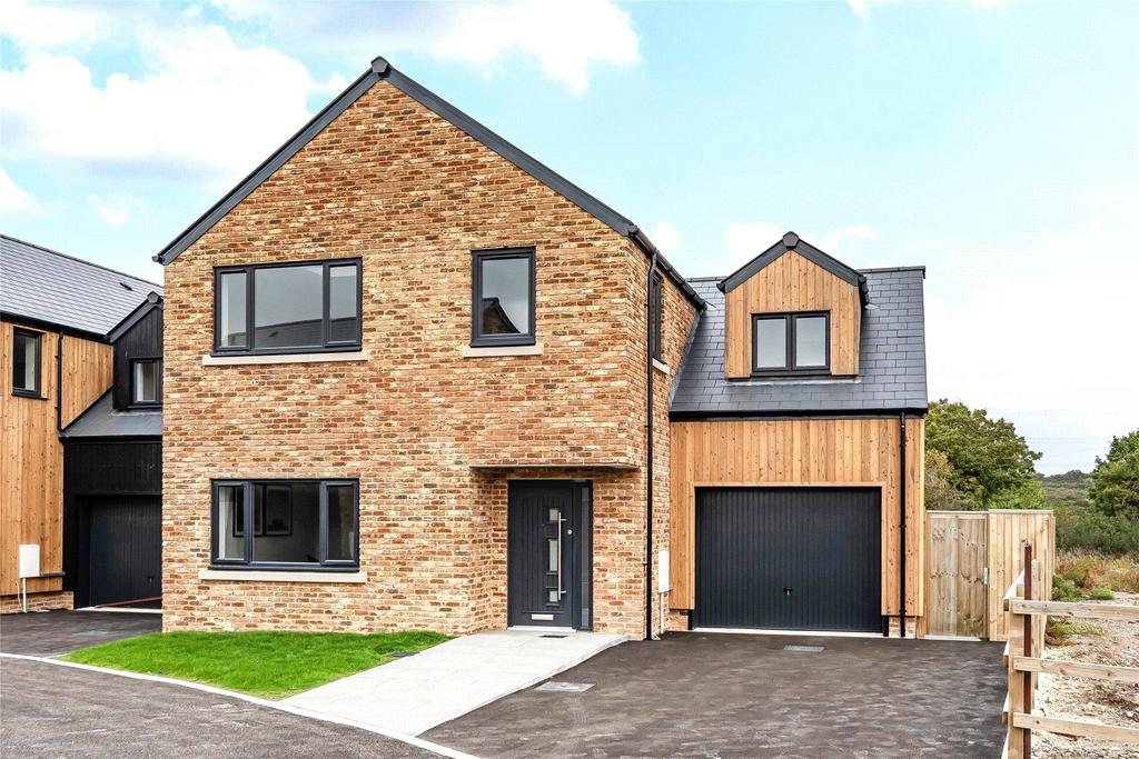 Plot 8