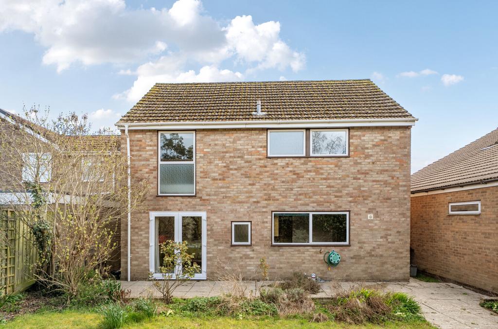 Rear Elevation
