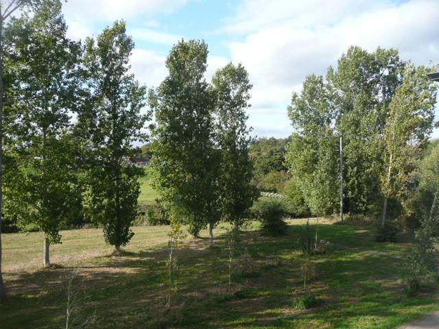 P10108