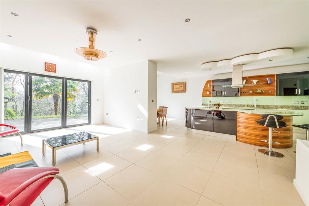 Kitchen/Living Area