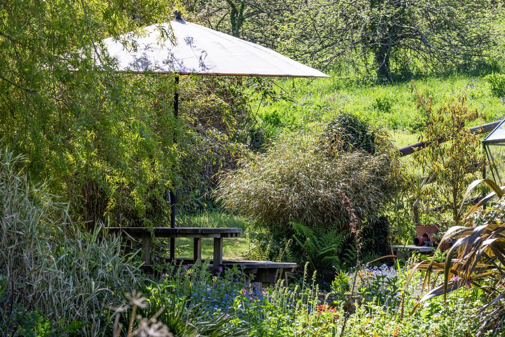 Grounds