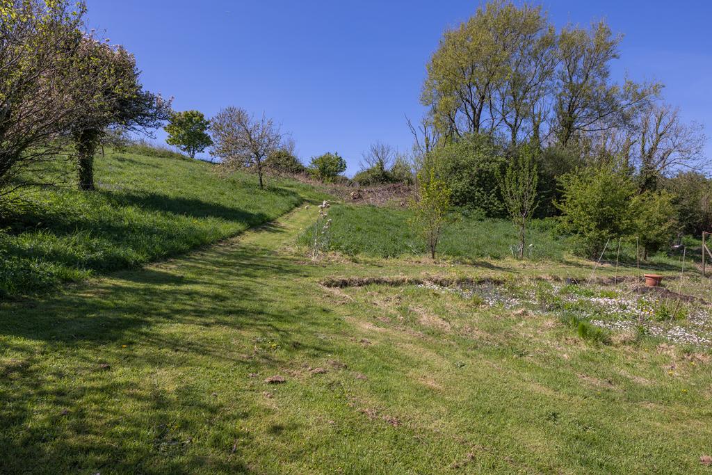 Grounds