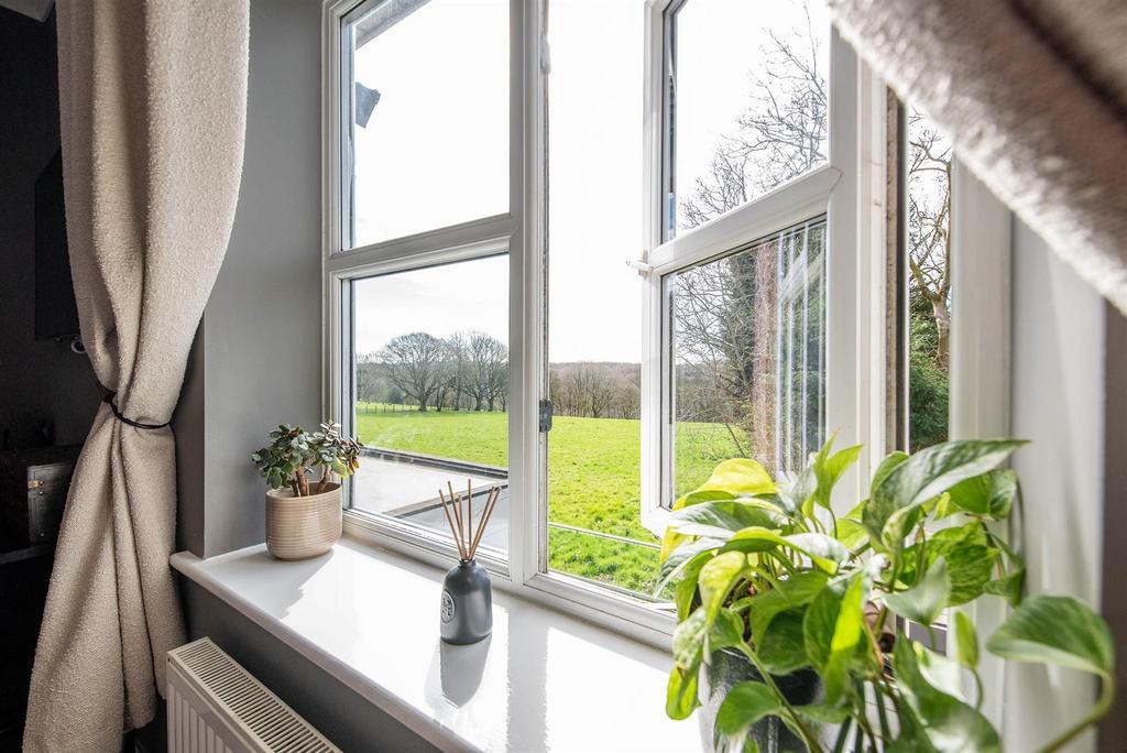 Open Views