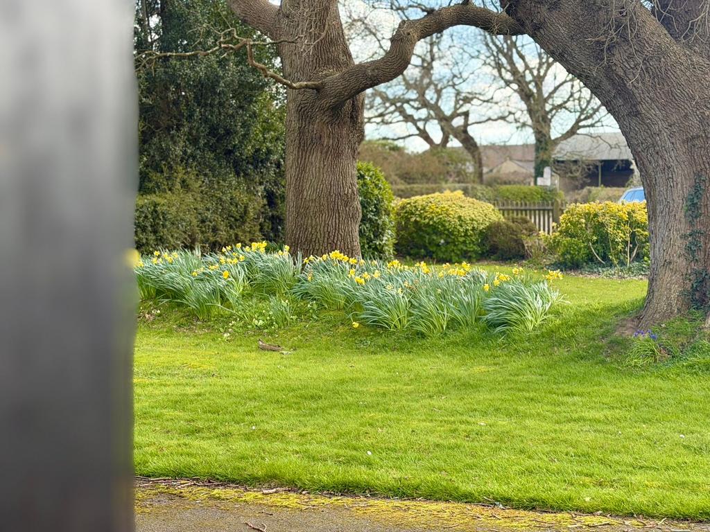 Front Garden View