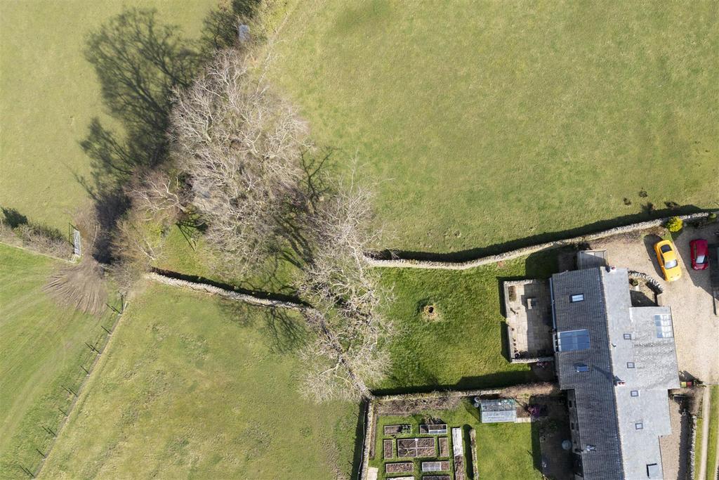 DJI 0156.jpg