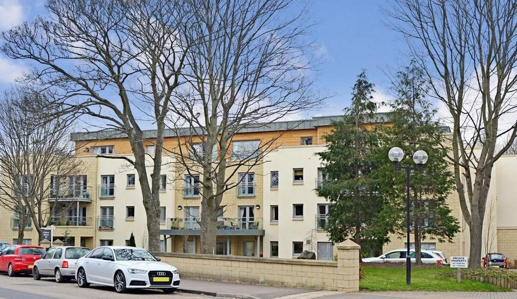 Clifton Mews.jpg