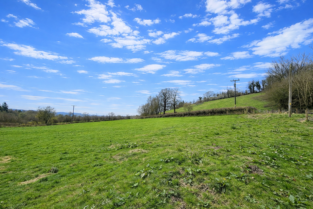 Land (second image)